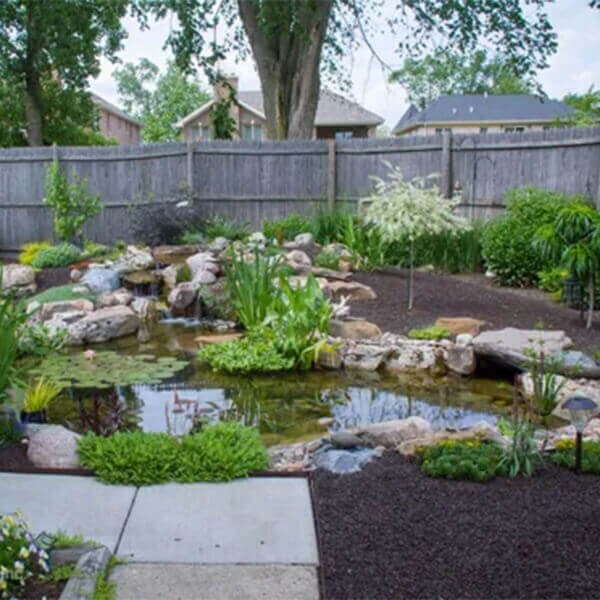 Aquascape Pond Kit Medium